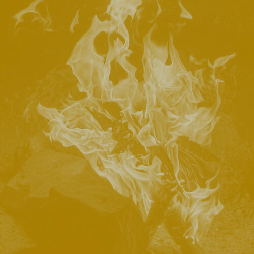 Training & workshops